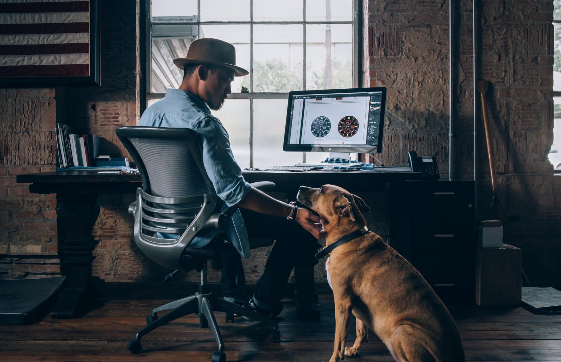 Dog in the office